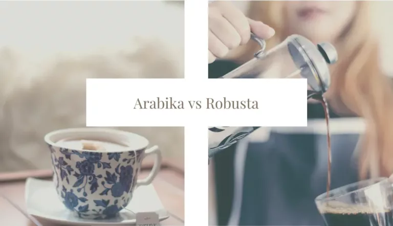 Arabika vs Robusta COFFEEDOG
