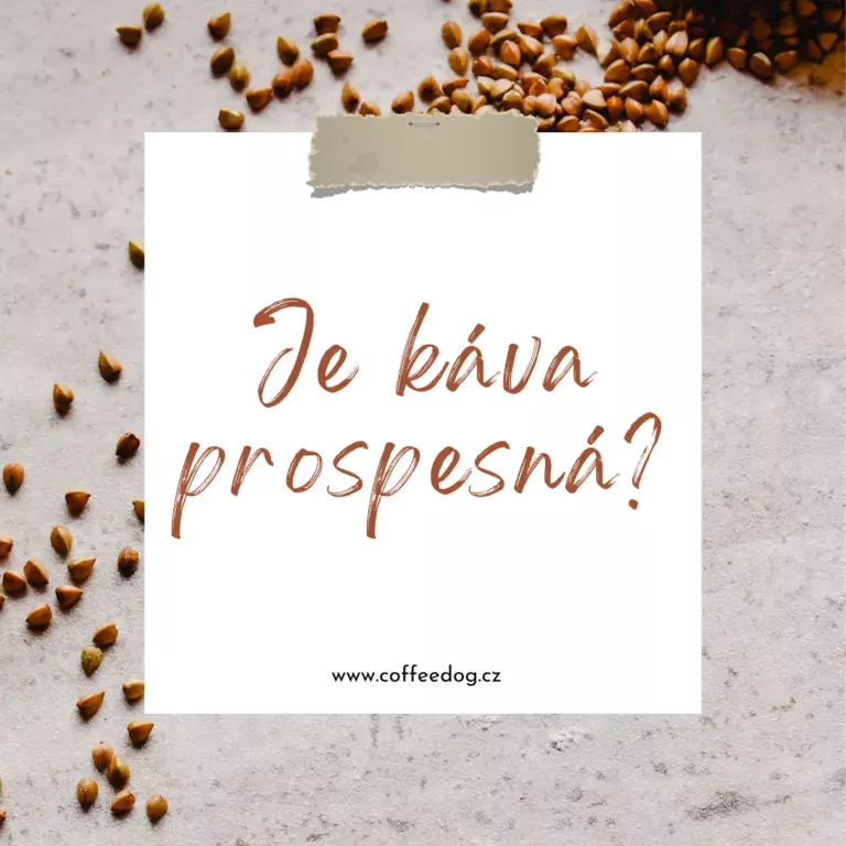 je káva prospěšná ?