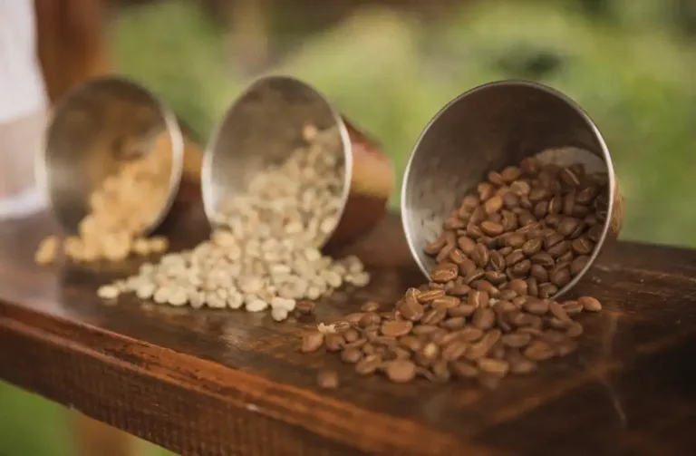 Různé stupně pražení kávy – zleva doprava: světlé pražení, střední pražení a tmavé pražení, zobrazené v kovových nádobkách na dřevěném stole.