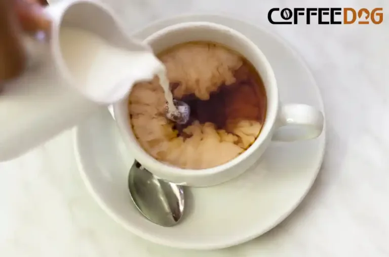 Nalévání mléka do šálku černé kávy – Coffeedog