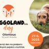 Doggoland Olomouc akce Coffeedog podpora opuštěných psů a koček