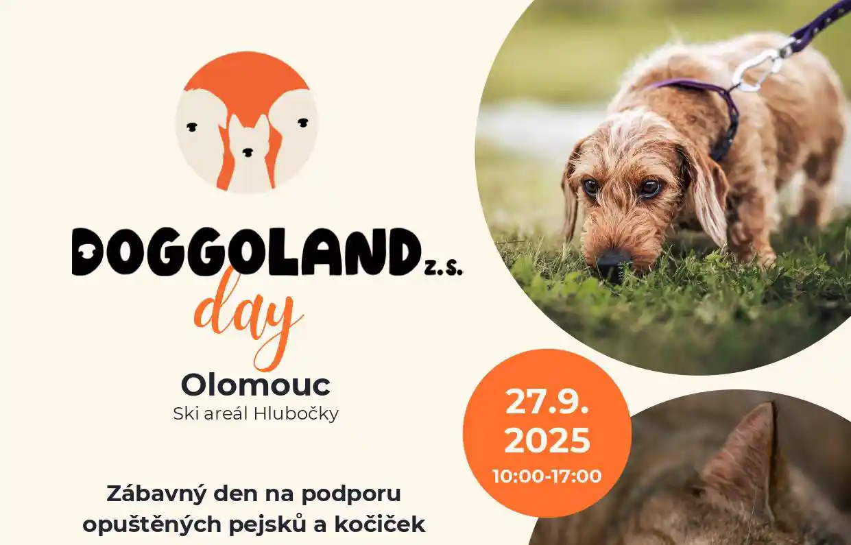 Doggoland Olomouc akce Coffeedog podpora opuštěných psů a koček