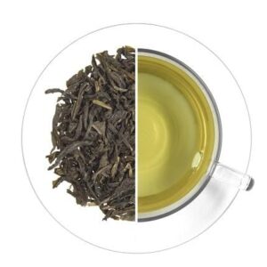 Fog Green "Zelená mlha"