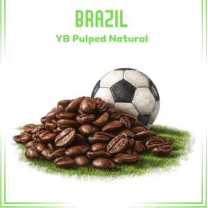 Brasil Yellow Bourbon Pulped Natural