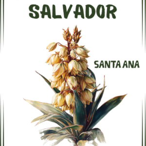 Salvador Santa Ana