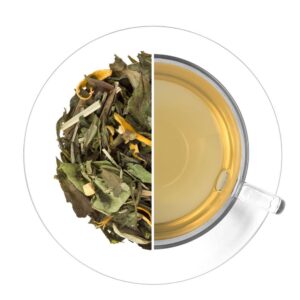 Ledový čaj Citrus - zázvor