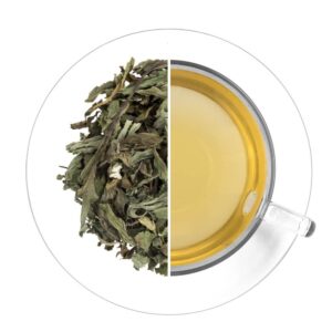 Máta peprná (list)