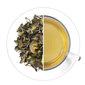 Tea Studio South India Peony